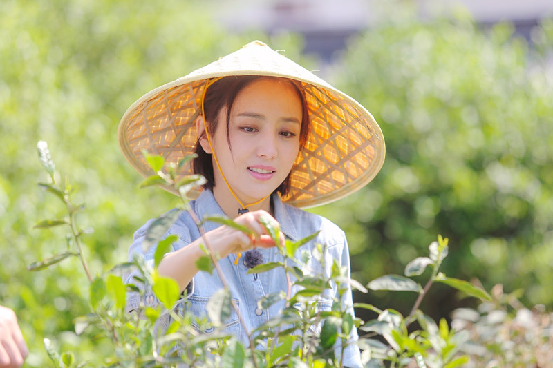 天下最美現身《向往的生活》，雷竞技在线官方入口佟麗婭教你精致生活