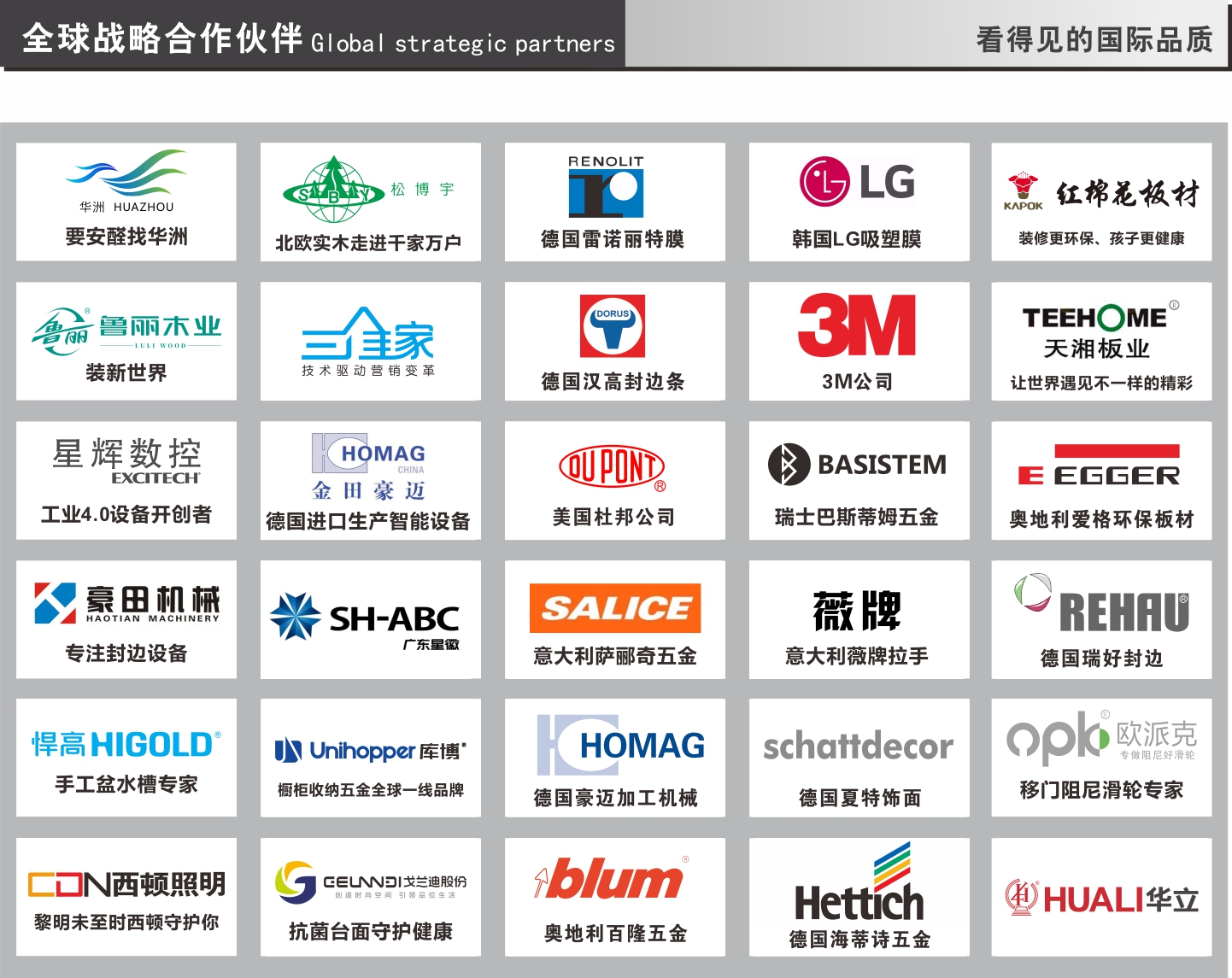 雷竞技在线官方入口戰略合作夥(huo) 伴