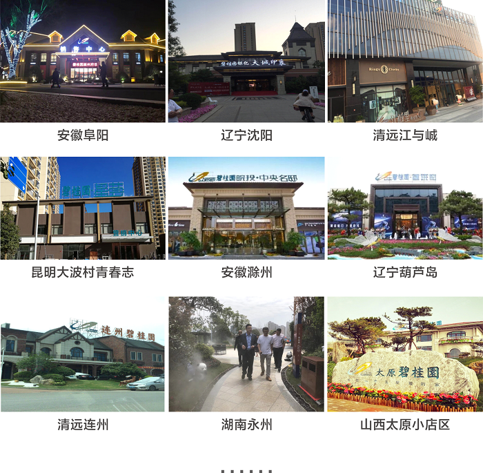 整裝大家居